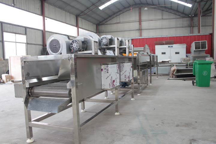 Air dryer in the food processing line