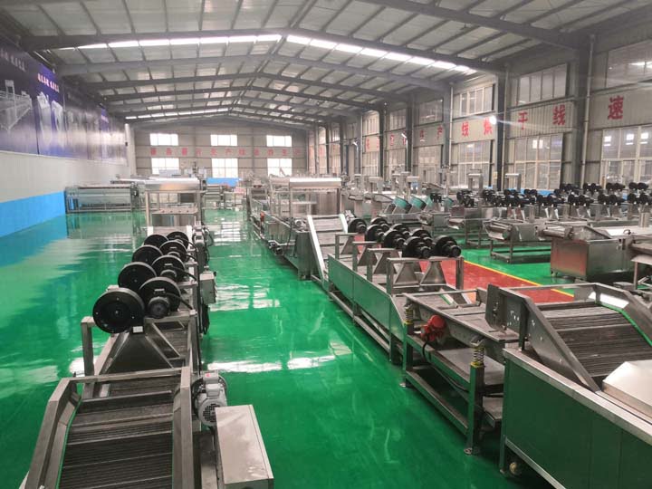 Taizy factory for manufacturing of frozen french fries machines