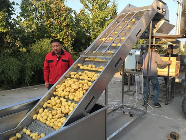 Industrial potato chips processing plant