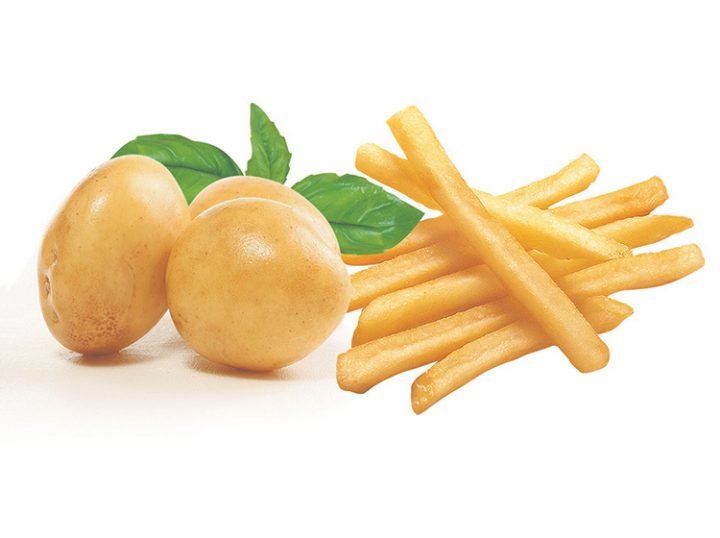 Potatoes for making french fries