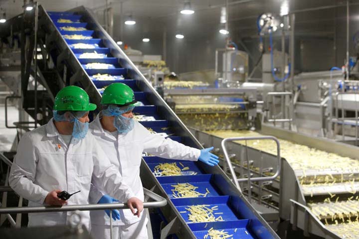 large french fries processing plant in Russia