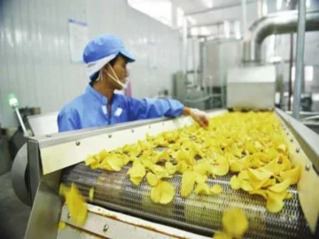 The worker is checking the quality of potato chips.