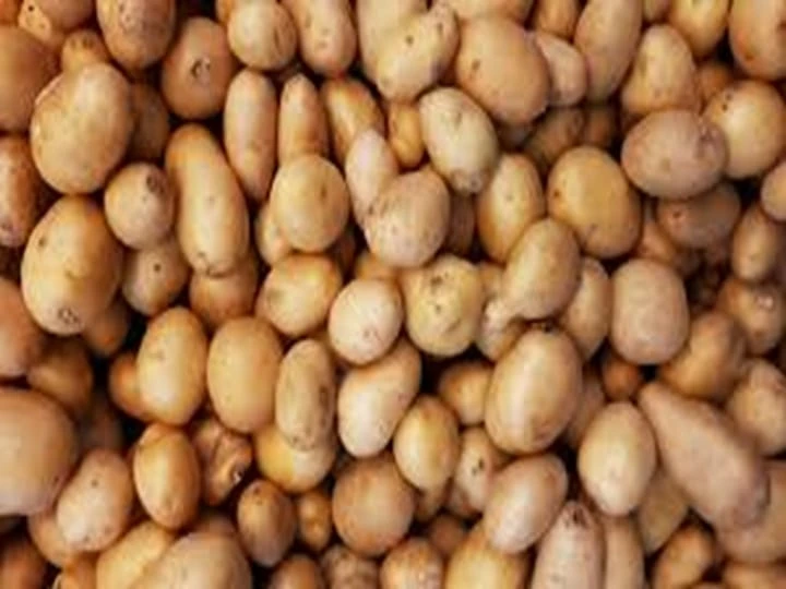 Abundant potato resources for the dutch customer
